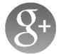 icon google