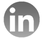 icon linkedin