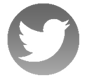 icon twitter